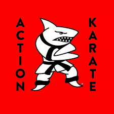 Image result for Action Karate