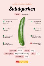 Image result for Gurke