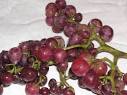 Black Corinth Grapes