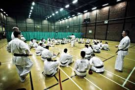 Image result for Great Britain Martial Arts Academy