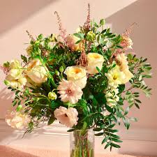 Attēlu rezultāti vaicājumam “Ranunculus elatior flower”