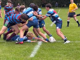 Image result for Reigate Rugby Football Club