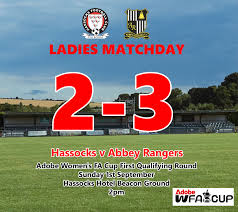 Image result for Hassocks Ladies FC