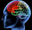 <b>Lyme Neuroborreliosis</b>