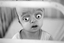 Image result for агент оранж