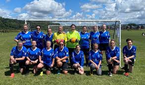 Image result for Frys Badminton Club