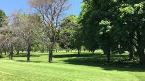 Image result for Southfield Golf Club