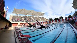 Image result for Buntingford Swimming Club