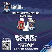 Image result for Southampton Stags