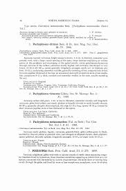 Attēlu rezultāti vaicājumam “Pachyphloeus melanoxanthus”