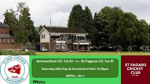 Image result for Ammanford Cricket Club