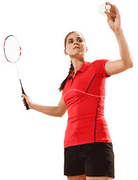 Image result for Lingwood (Norfolk) Badminton Club