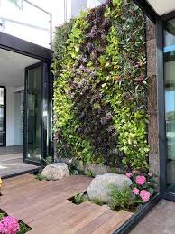 Image result for living wall