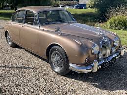Image result for Golden Sand 1962 Jaguar