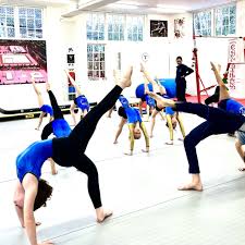 Image result for Sponte Sua Gym