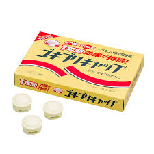 Image result for ゴキブリ報告所