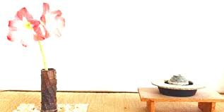 Image result for Aikido - Shobu UK (Newton in furness)