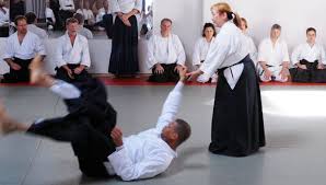 Image result for West Midlands Aikido Association Dojo