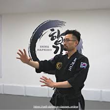 Image result for INTERNATIONAL HAPKIDO TAMWORTH