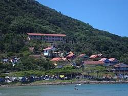 Image result for bombinhas