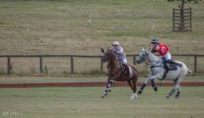 Image result for Inglesham Polo Centre