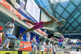 Image result for Leicester waterpolo club