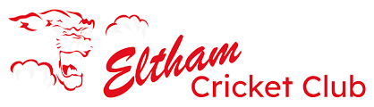 Image result for Blunham Cc