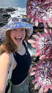 Attēlu rezultāti vaicājumam “Hemitrichia chrysospora sessile”