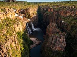 Billedresultat for kakadu n...