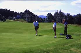 Image result for Abernethy Golf Club