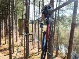 Image result for The Go Ape Experience (Delamere Forest)