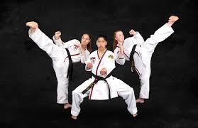 Image result for ATA Martial Arts Mobile