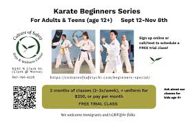 Image result for Jin Sei Kai Shotokan Karate