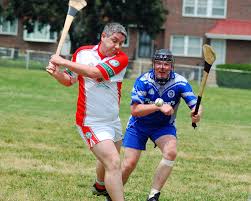 Image result for hurling