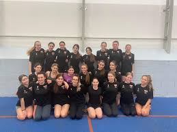Image result for Huddersfield Giants Netball Club