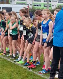 Image result for omagh harriers