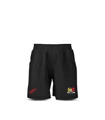 Image result for Tredegar Athletic Football Club