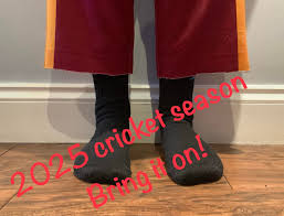 Image result for Pyrford Cricket Club