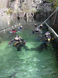 Image result for Reading University Sub Aqua Club