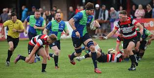 Image result for Stirling Wolves
