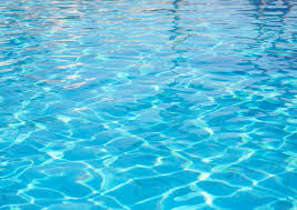 Image result for Lowestoft & Oulton Broad Swimming Club