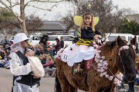 Image result for Almond Riding Club