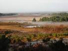 The Bronze Age round barrow 'Burnt Axon' is just to the right. - via Daymix