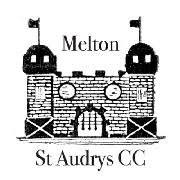 Image result for Yoxford Cricket Club