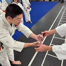 Image result for Sokudo Martial Arts Club