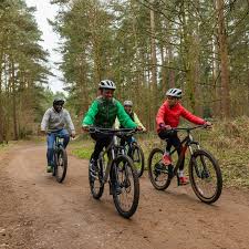 Image result for The Go Ape Experience (Swinley Forest)