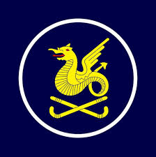 Image result for Leicester Hockey Club