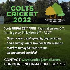 Image result for Wood Street Village Cricket Club