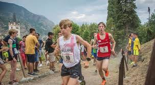 Image result for Dudley and Stourbridge Harriers Athletics Club