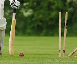 Image result for Bat Sports Cricket Club